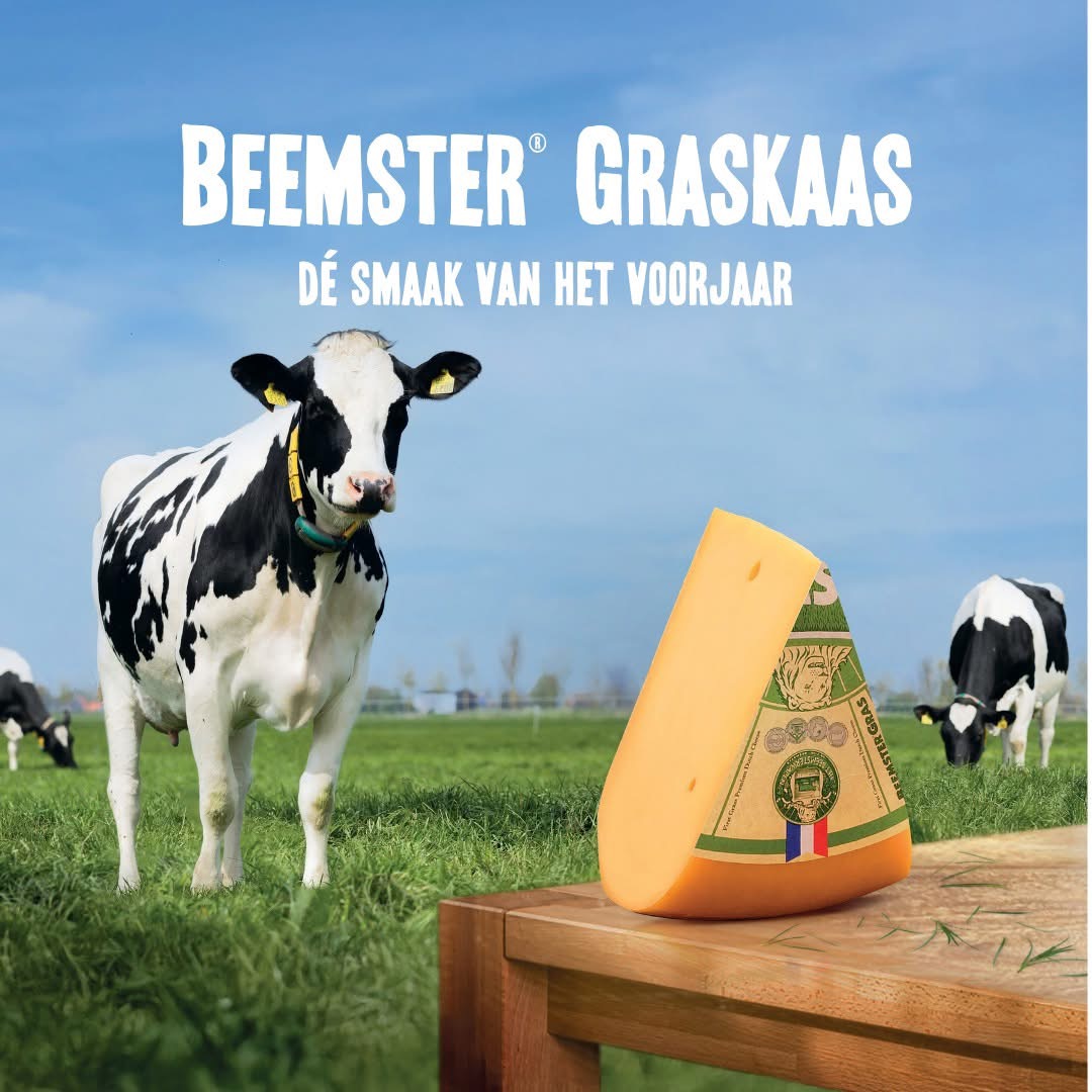 Beemster® Grass cheese is back in stores!